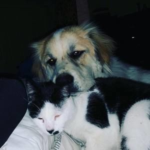 Meet your Posher, Veronda